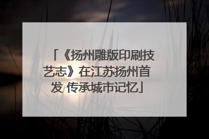 《扬州雕版印刷技艺志》在江苏扬州首发 传承城市记忆