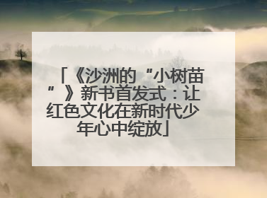 《沙洲的“小树苗”》新书首发式：让红色文化在新时代少年心中绽放