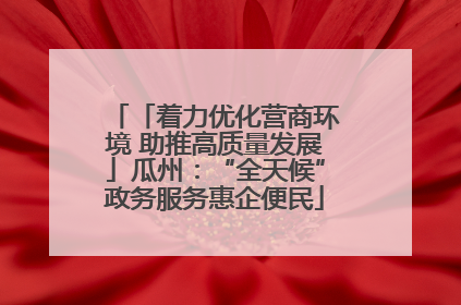 「着力优化营商环境 助推高质量发展」瓜州：“全天候”政务服务惠企便民
