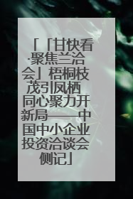「甘快看·聚焦兰洽会」梧桐枝茂引凤栖 同心聚力开新局——中国中小企业投资洽谈会侧记