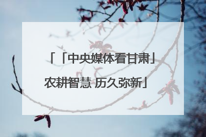 「中央媒体看甘肃」农耕智慧 历久弥新
