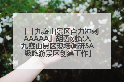 「九嶷山景区奋力冲刺AAAAA」胡勇刚深入九嶷山景区现场调研5A级旅游景区创建工作