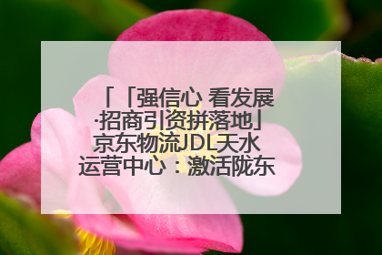 「强信心 看发展·招商引资拼落地」京东物流JDL天水运营中心：激活陇东南区域经济新引擎
