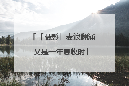 「摄影」麦浪翻涌 又是一年夏收时
