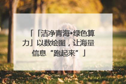 「洁净青海•绿色算力」以数绘图，让海量信息“跑起来”