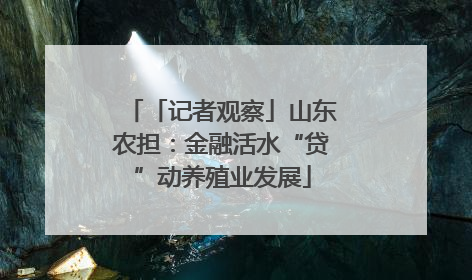 「记者观察」山东农担：金融活水“贷”动养殖业发展