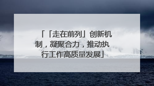 「走在前列」创新机制，凝聚合力，推动执行工作高质量发展
