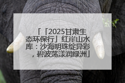 「2025甘肃生态环保行」红崖山水库：沙海明珠绽异彩，碧波荡漾润绿洲