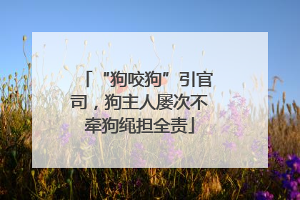 “狗咬狗”引官司，狗主人屡次不牵狗绳担全责