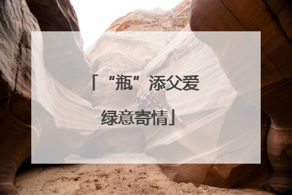 “瓶”添父爱 绿意寄情