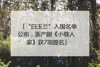 “白玉兰”入围名单公布，浙产剧《小巷人家》获7项提名