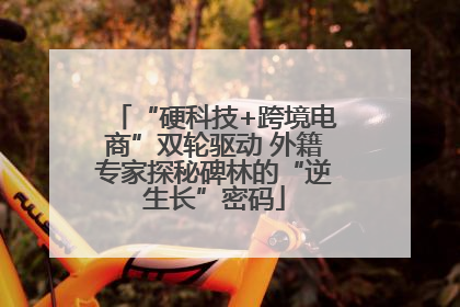 “硬科技+跨境电商”双轮驱动 外籍专家探秘碑林的“逆生长”密码