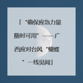 “确保应急力量随时可用”——广西应对台风“蝴蝶”一线见闻
