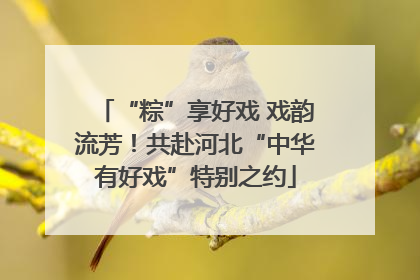 “粽”享好戏 戏韵流芳！共赴河北“中华有好戏”特别之约