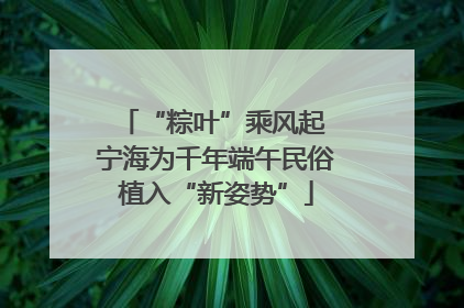 “粽叶”乘风起 宁海为千年端午民俗植入“新姿势”