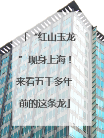 “红山玉龙”现身上海！来看五千多年前的这条龙