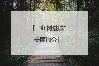“红树进城” 美丽加分