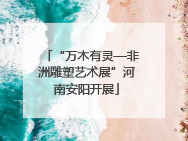 “万木有灵—非洲雕塑艺术展”河南安阳开展