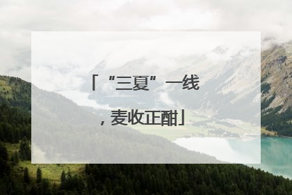 “三夏”一线，麦收正酣