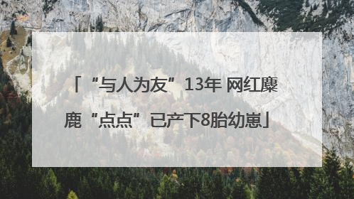 “与人为友”13年 网红麋鹿“点点”已产下8胎幼崽