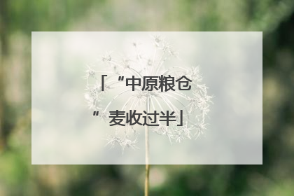 “中原粮仓”麦收过半