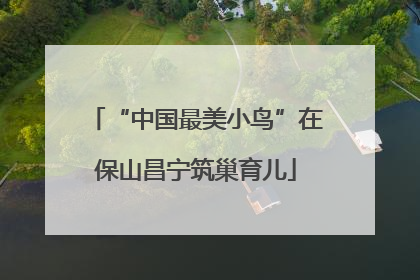 “中国最美小鸟”在保山昌宁筑巢育儿