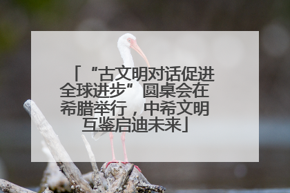 “古文明对话促进全球进步”圆桌会在希腊举行，中希文明互鉴启迪未来