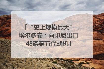 “史上规模最大”，埃尔多安：向印尼出口48架第五代战机