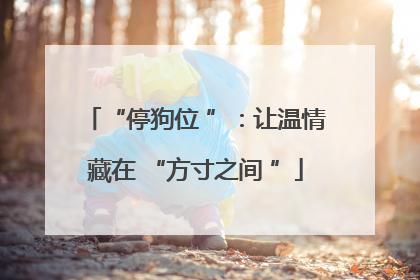 “停狗位 ”：让温情藏在 “方寸之间 ”