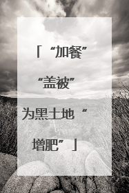 “加餐”“盖被” 为黑土地“增肥”