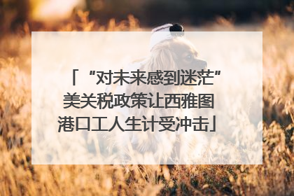 “对未来感到迷茫” 美关税政策让西雅图港口工人生计受冲击