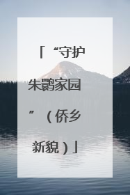 “守护朱鹮家园”（侨乡新貌）