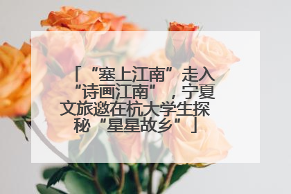 “塞上江南”走入“诗画江南”，宁夏文旅邀在杭大学生探秘“星星故乡”