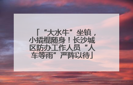“大水牛”坐镇，小撬棍随身！长沙城区防办工作人员“人车等雨”严阵以待