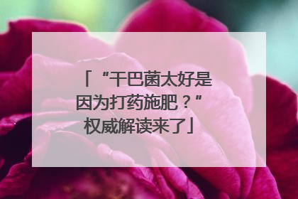 “干巴菌太好是因为打药施肥？”权威解读来了