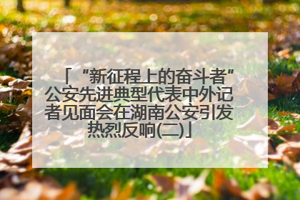 “新征程上的奋斗者”公安先进典型代表中外记者见面会在湖南公安引发热烈反响(二)