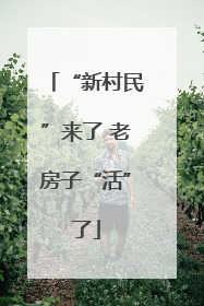 “新村民”来了 老房子“活”了
