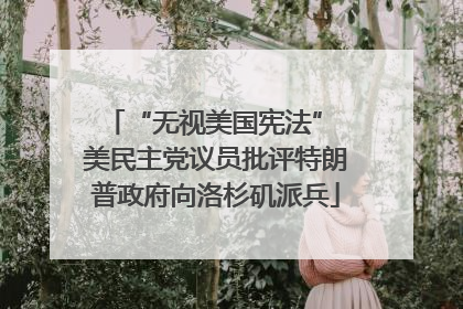 “无视美国宪法” 美民主党议员批评特朗普政府向洛杉矶派兵