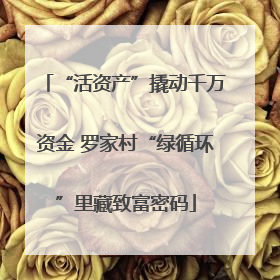 “活资产”撬动千万资金 罗家村“绿循环”里藏致富密码