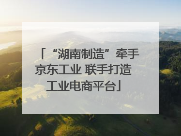 “湖南制造”牵手京东工业 联手打造工业电商平台