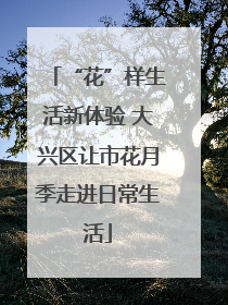“花”样生活新体验 大兴区让市花月季走进日常生活
