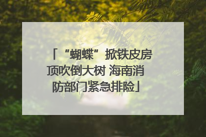 “蝴蝶”掀铁皮房顶吹倒大树 海南消防部门紧急排险
