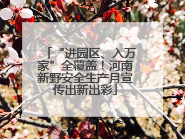 “进园区、入万家”全覆盖！河南新野安全生产月宣传出新出彩