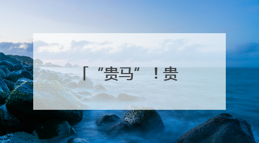 “贵马”！贵阳的亮丽名片
