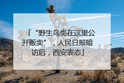 “野生鸟类在这里公开贩卖”，人民日报暗访后，西安表态