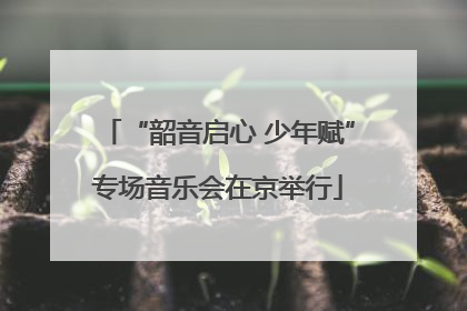 “韶音启心 少年赋”专场音乐会在京举行