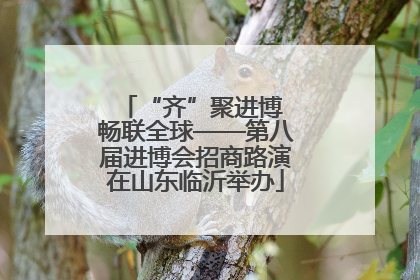 “齐”聚进博 畅联全球——第八届进博会招商路演在山东临沂举办