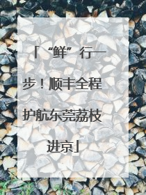 “鲜”行一步！顺丰全程护航东莞荔枝进京