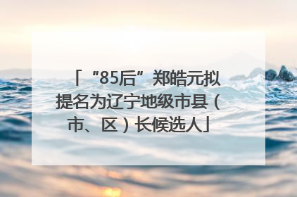 “85后”郑皓元拟提名为辽宁地级市县（市、区）长候选人