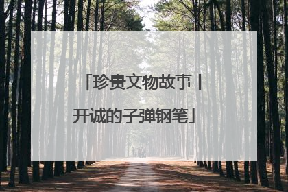 珍贵文物故事丨开诚的子弹钢笔